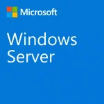 Microsoft Microsoft R18-06431 Windows Server CAL 2022 1pk DSP OEI