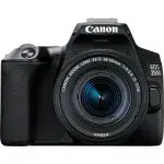 Appareil Photo Canon Reflex EOS 250D + objectif EF-S (3454C002AA)