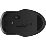 Souris Hp sans fil Bluetooth 250 Double mode (6V2J7AA) – Image 4