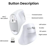 Souris Ugreen verticale Wireless MU008 Blanc (45759) – Image 4